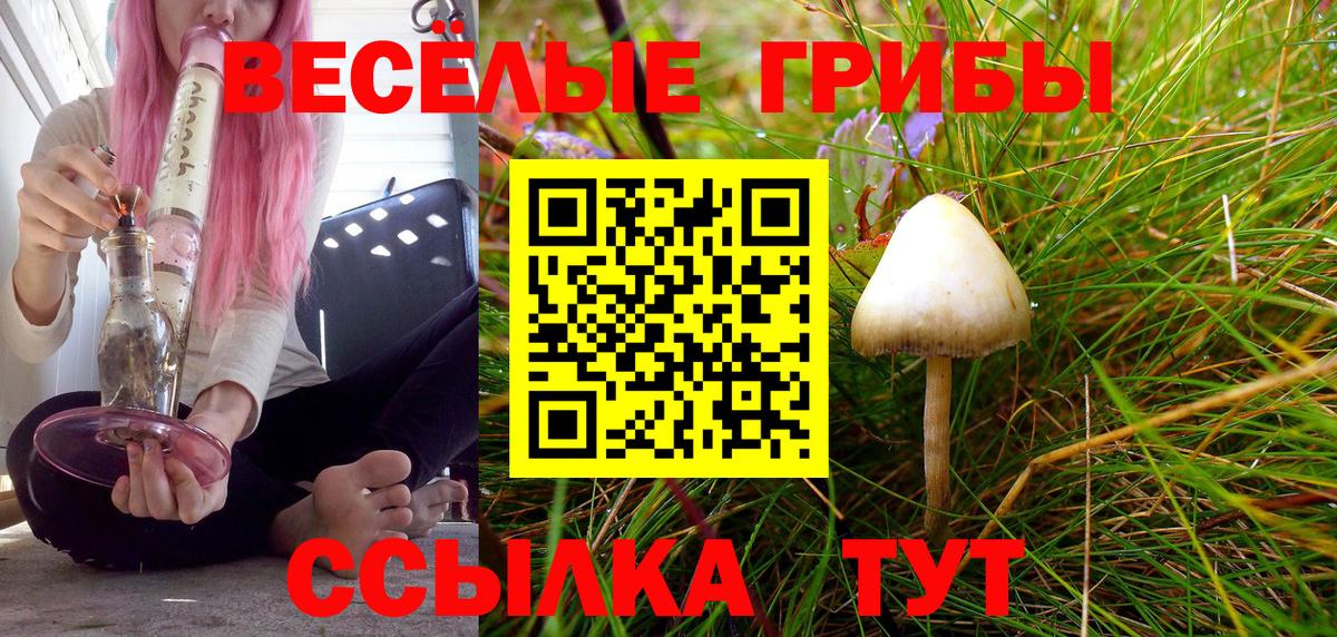 Крымск  Галлюциногенные грибы мухоморы  Вход с VPN  Псилоцибиновые грибы мицелий 